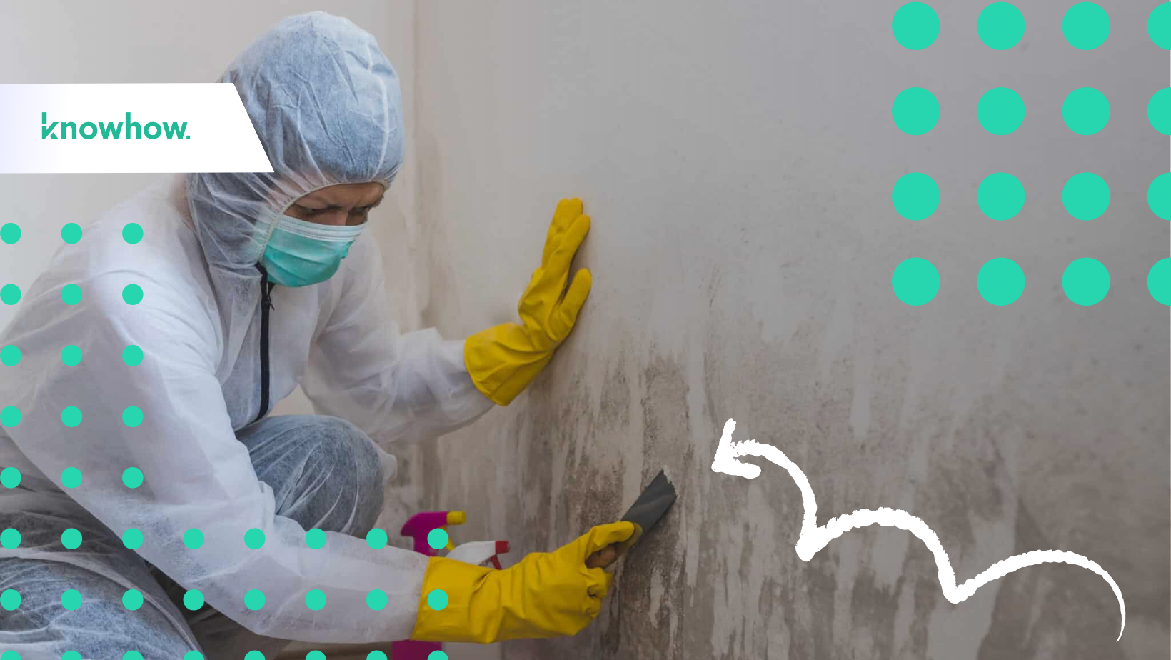 The 7 Best Mold Remediation Templates to Ensure Safe, Compliant, and Effective Cleanup